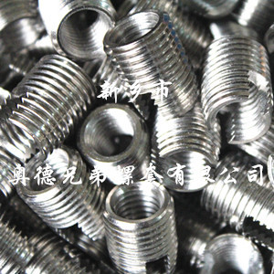 银川ENTS自攻螺套